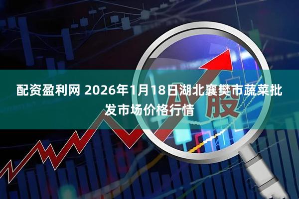 配资盈利网 2026年1月18日湖北襄樊市蔬菜批发市场价格行情