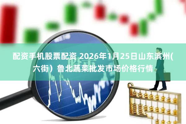 配资手机股票配资 2026年1月25日山东滨州(六街）鲁北蔬菜批发市场价格行情
