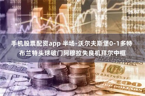 手机股票配资app 半场-沃尔夫斯堡0-1多特 布兰特头球破门阿穆拉失良机拜尔中框