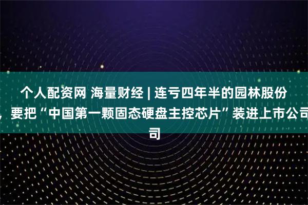 个人配资网 海量财经 | 连亏四年半的园林股份，要把“中国第一颗固态硬盘主控芯片”装进上市公司